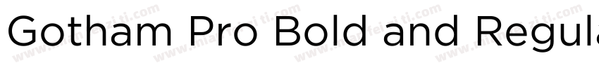 Gotham Pro Bold and Regular字体转换